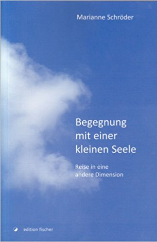 Begegnungen mit einer kleinen Seele (Taschenbuch)